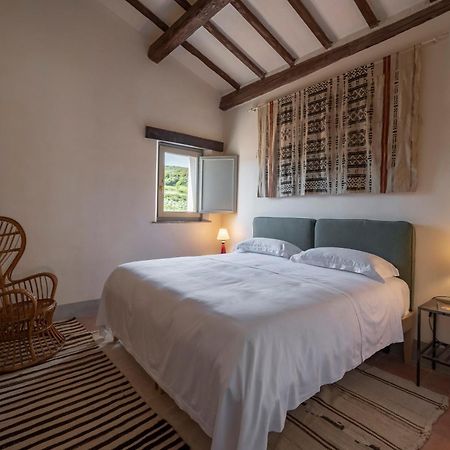 Locanda Fontelupa Campagnatico Quarto foto